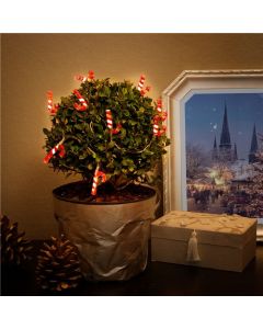 Goobay lyskjede julepinner med 10 LED-lys